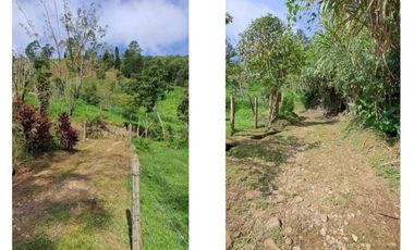 finca en venta en sin barrio. Cod V9394334