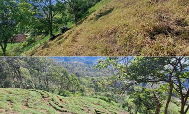 finca en venta en sin barrio. Cod V9394334