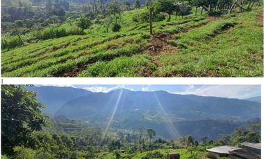 finca en venta en sin barrio. Cod V9394334