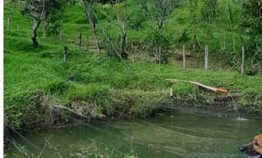 finca en venta en sin barrio. Cod V9394334