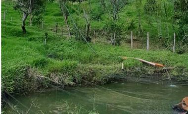 finca en venta en sin barrio. Cod V9394334