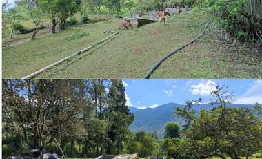 finca en venta en sin barrio. Cod V9394334