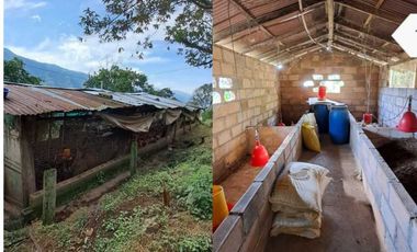 finca en venta en sin barrio. Cod V9394334