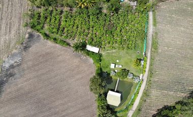 finca en venta en corregimiento el cabuyal. Cod V905