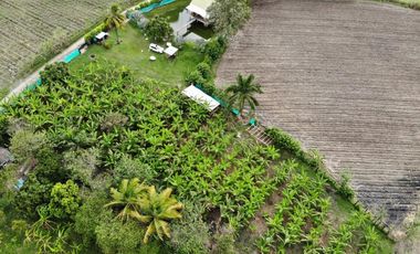 finca en venta en corregimiento el cabuyal. Cod V905