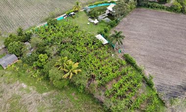 finca en venta en corregimiento el cabuyal. Cod V905