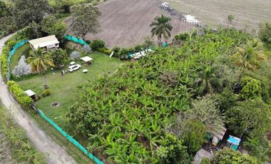 finca en venta en corregimiento el cabuyal. Cod V905