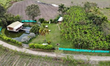 finca en venta en corregimiento el cabuyal. Cod V905