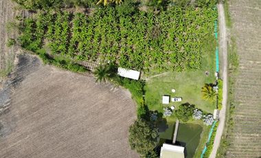 finca en venta en corregimiento el cabuyal. Cod V905