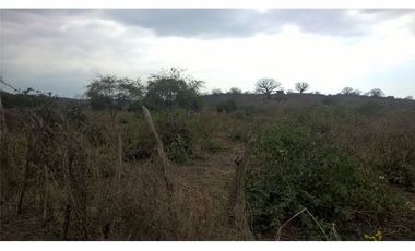 Terreno de venta en Portoviejo zona sur