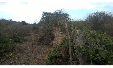 Terreno de venta en Portoviejo zona sur
