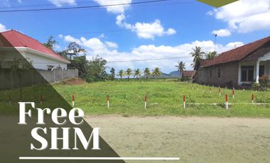 Tanah dijual di Ngandong, Banyuwangi, Jawa Timur