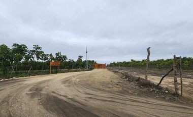 Vendo terreno 86 hectáreas, ideal para cultivo en Atahualpa, Santa Elena.
