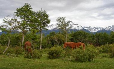 Terreno Chubut 2,8 Ha.  Patagonia pesca con mosca frente sobre  ruta bosque nativo