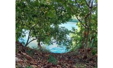 VENDO FINCA DE 65 HAS  CHIRIQUI