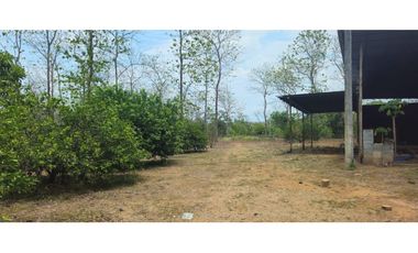 VENDO FINCA DE 65 HAS  CHIRIQUI