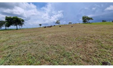 VENTA DE TERRENO LA LAGUNA DE SAN CARLOS