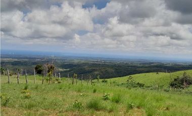 VENTA DE TERRENO LA LAGUNA DE SAN CARLOS