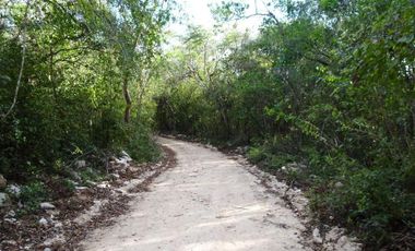 Terrenos en venta en la bella Uayma Yucatán
