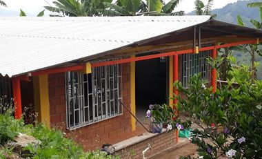 VENTA de FINCAS en PEREIRA