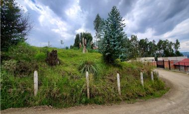 Terreno en venta sector monay baguanchi