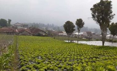 Tanah 1 Hektar View Cantik Keren Bonus Rumah Lembang Bandung Barat