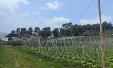 Tanah 1 Hektar View Cantik Keren Bonus Rumah Lembang Bandung Barat