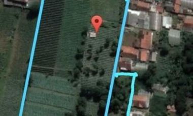 Tanah 1 Hektar View Cantik Keren Bonus Rumah Lembang Bandung Barat