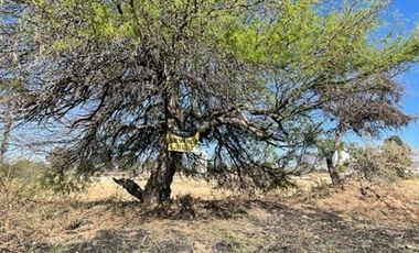 VENTA TERRENO A LADO DE LA HUERTA AGUASCALIEN