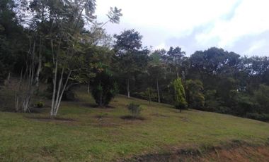 lote en venta en miralia-lotes dapa. Cod V106544