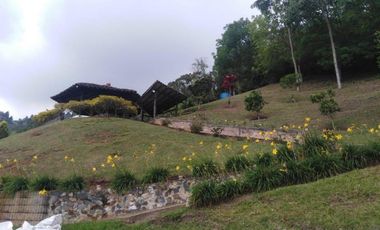 lote en venta en miralia-lotes dapa. Cod V106544