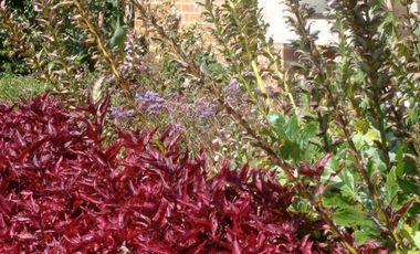 casa condominio en venta en san simon. Cod V2528