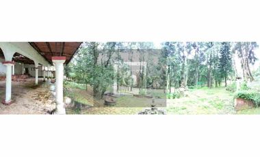 Locales comerciales campestres en Plaza Briones-Pitaya, Coatepec