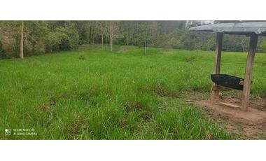 VENTA DE FINCA EN TIERRA ALTA ,MONTERA CORDOBA