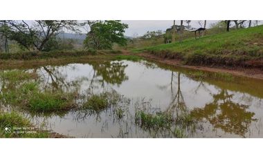 VENTA DE FINCA EN TIERRA ALTA ,MONTERA CORDOBA