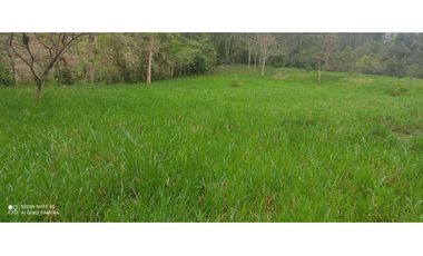 VENTA DE FINCA EN TIERRA ALTA ,MONTERA CORDOBA