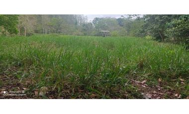 VENTA DE FINCA EN TIERRA ALTA ,MONTERA CORDOBA