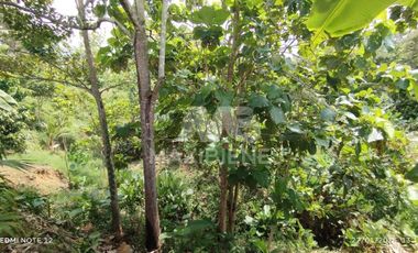 finca en venta en vda. el barro. Cod V56688