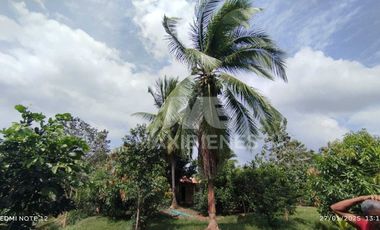 finca en venta en vda. el barro. Cod V56688