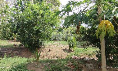 finca en venta en vda. el barro. Cod V56688