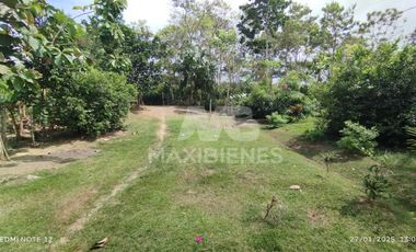 finca en venta en vda. el barro. Cod V56688