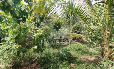 finca en venta en vda. el barro. Cod V56688