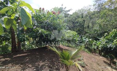 finca en venta en vda. el barro. Cod V56688