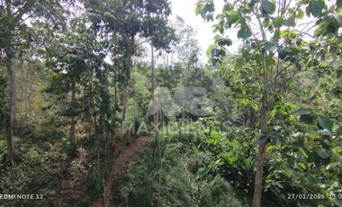 finca en venta en vda. el barro. Cod V56688