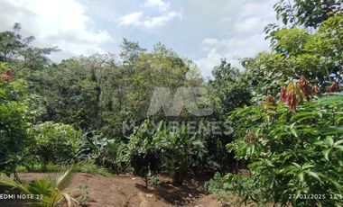 finca en venta en vda. el barro. Cod V56688