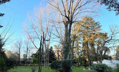 Quinta 4 Ambientes En Venta  - La Reja, Moreno