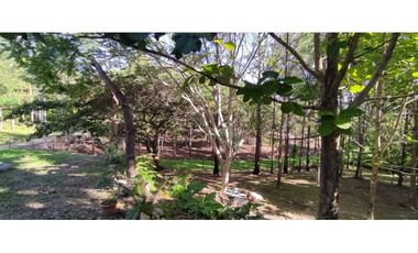 CAMINO AL VALLE / RIO LA POMA / FINCA CON CASA / 2329M2 / DH