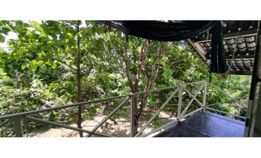 CAMINO AL VALLE / RIO LA POMA / FINCA CON CASA / 2329M2 / DH