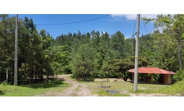 CAMINO AL VALLE / RIO LA POMA / FINCA CON CASA / 2329M2 / DH