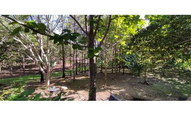 CAMINO AL VALLE / RIO LA POMA / FINCA CON CASA / 2329M2 / DH